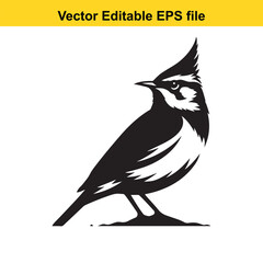 Black and white vector illustration of a crested lark bird