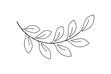 Simple line drawing of elegant branch with leaves