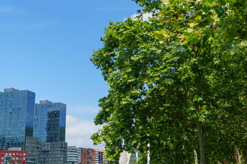 Fototapeta premium Bilbao im Baskenland