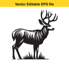 Majestic Mule Deer Buck in Profile, Black and White Vector Illustration