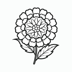 marigold-flower-out-line-victor-icon-on-white-back (3).eps