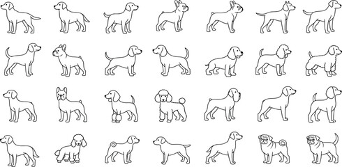 Fototapeta premium Dog Breeds line icon set. Vector pictograms of labrador, golden retriever, german shepherd, bulldog, beagle, poodle, dachshund, pug, shih tzu, maltese, yorkshire terrier thin linear illustration