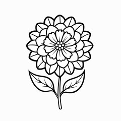 marigold-flower-out-line-victor-icon-on-white-back (1).eps