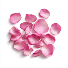 Obraz premium Delicate Pink Rose Petals , isolated on white background png