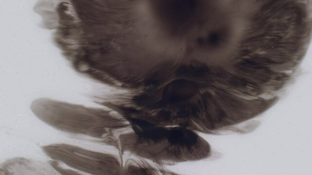 Dirty ink. Artistic fluid. Contrast black paint splatter on light wet white surface. Spreading dark messy cloudy water abstract background.