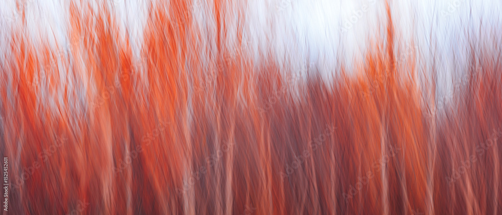 Aufkleber Abstract art autumn background with red blurred trees using camera movement for web banner template page design..