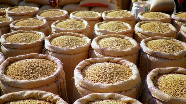 Burlap bags filled with grains
