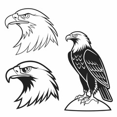 Obraz premium eagle vector illustration