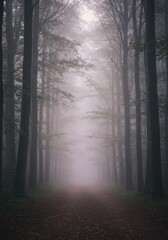 Fototapeta premium Misty Forest Path: A Dark And Mysterious Atmosphere