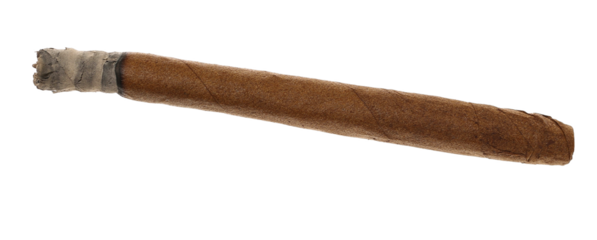 Luxury handmade cigar isolated on white