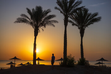 Fototapeta premium Sunrise, Red Sea
