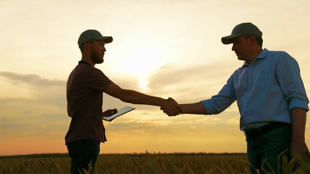 Male farmers shaking hands, wheat field. Handshake, joint work of people. Business people shake hands outdoor in sun. Business teamwork. Partners agreed concluding deal, sign of consent to shake hands