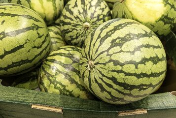 Watermelons in a market