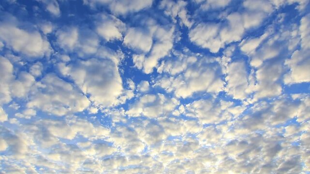 Detailed View of Altocumulus Cloud Formation in the Sky