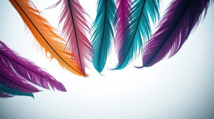 Colorful Feather Display: A vibrant arrangement of feathers in various shades against a clean backdrop.