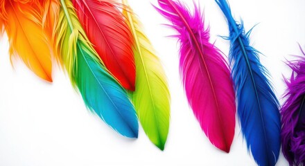 Vibrant feathers in an array of colors create a playful and artistic composition. A burst of creativity.
