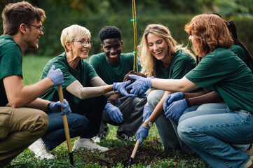 Happy volunteers planting a tree in the park