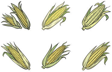 Corn Cobs Vector Design Simple and Clean Corn Illustration for Agriculture, Food, and Harvest-Themed Projects