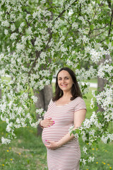A tranquil spring day with a mother-to-be among vibrant apple blossoms and greenery.