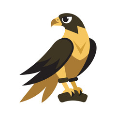 Falcon Resting Calmly On Falconer Glove