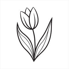 Obraz premium tulip flower minimalist silhouette vector