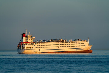 Large livestock carrier ship sailing on sea at sunset