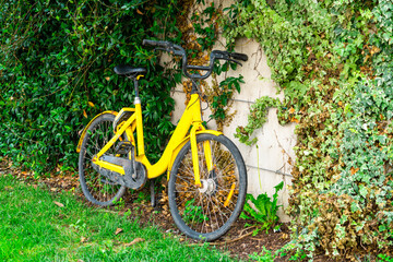 Fototapeta premium Yellow city bike parked against ivy-covered wall outdoors