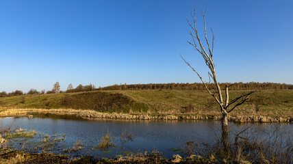 A Beautiful Spring Landscape Featuring Burnt Grass Alongside a Serene River in a Picturesque Setting