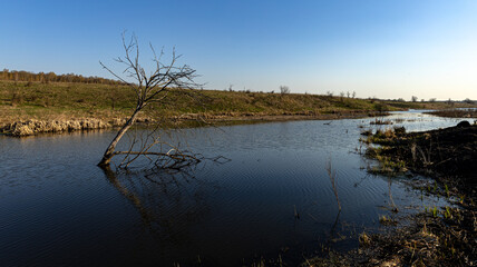 Fototapeta premium A Beautiful Spring Landscape Featuring Burnt Grass Alongside a Serene River in a Picturesque Setting