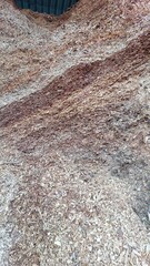 Biofuel Production Utilizing Wood Chips for Sustainable Energy Generation in a Processing Facility