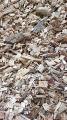 Production of Biofuel Using Wood Chips in an Industrial Setting During Daylight Hours