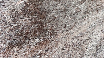 Wood Chips Are Processed as Biofuel at a Renewable Energy Facility in the Afternoon