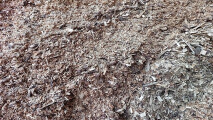 Biofuel Production Using Wood Chips for Sustainable Energy in Forested Areas