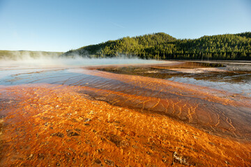 A large body of water with a brownish tint