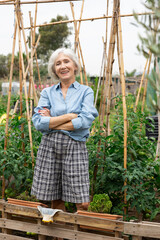 Elderly white-haired European lady standing at her green vegetable garden