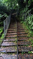Stairway up to the hill through the forest