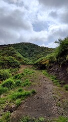 Dirt road in the wild area