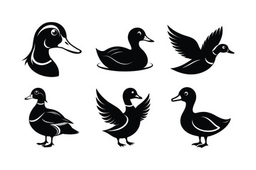 Obraz premium Duck Silhouette vector , Wood duck Silhouette vector bundle 