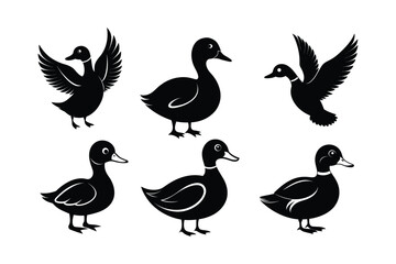 Obraz premium Duck Silhouette vector , Wood duck Silhouette vector bundle 