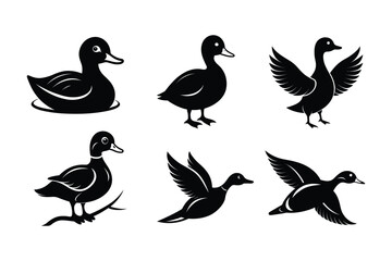 Obraz premium Duck Silhouette vector , Wood duck Silhouette vector bundle 