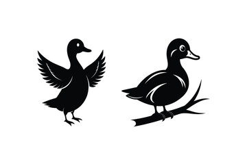 Obraz premium Duck Silhouette vector , Wood duck Silhouette vector bundle 