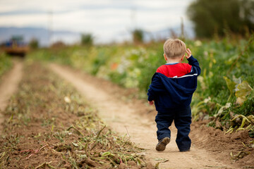 A young boy is walking down a dirt road in a field