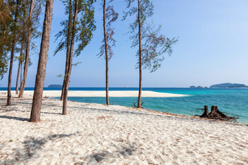 Koh Adang, Thailand. Tropical landscape. Sparse pine trees on the coast. Turquoise Andaman Sea.