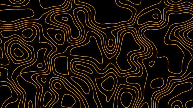 Abstract moving topographic map lines. Video animation.topographic contour map with smooth wave motion curved wavy lines.