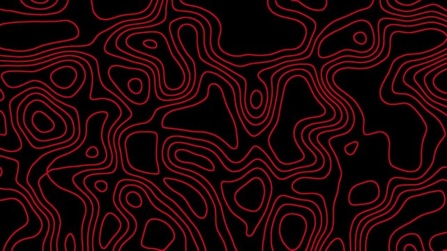 Abstract moving topographic map lines. Video animation.topographic contour map with smooth wave motion curved wavy lines.