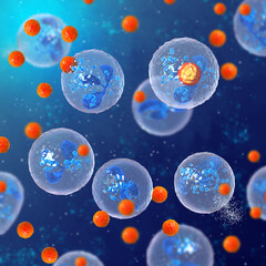 Fototapeta premium Medical background, phagocytosis is the process of capturing and digesting solid foreign particles by phagocytes, 3D rendering