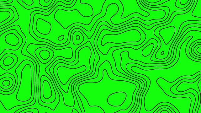 Abstract moving topographic map lines. Video animation.topographic contour map with smooth wave motion curved wavy lines.