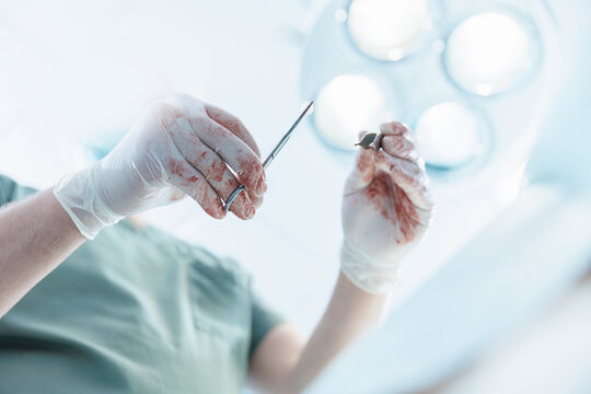 Male veterinarian performing surgery in clinic operating room with surgical tools