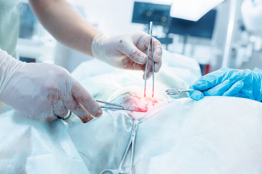 Concept Veterinarian performing surgery in clinic with surgical instruments and protective gear