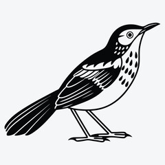 Obraz premium Antbird line art White background illustration Generative Ai.